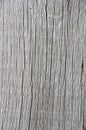 Old Gray Woodgrain background