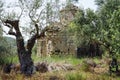 Old greek orthodox church Royalty Free Stock Photo