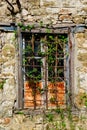 Old Greek Stone House, Weeds Growing on Window, Greece