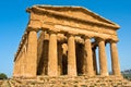 Old greek temple at Segesta, Sicily Royalty Free Stock Photo