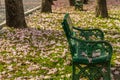 The old green bench in the park.