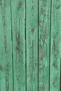 Green old fence