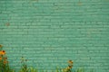 Old green brick wall and decorative flowers Royalty Free Stock Photo