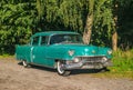 Old green Cadillac in a forest Royalty Free Stock Photo