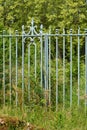 An old green cast iron gate and fence.