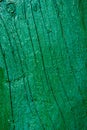 Old green cracked paint on a wooden board. Vertical banner Royalty Free Stock Photo