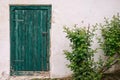The old green door with dog rose and whitte wall Royalty Free Stock Photo