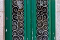 Old Green Door with Metallic Decorative Pattern