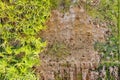 Old green ecological wall background Royalty Free Stock Photo