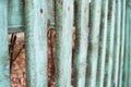 Old green fence and beautiful brown grass with cobwebs between sticks