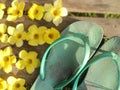 Old green flip-flops with yellow flowers blooming. Royalty Free Stock Photo