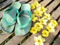 Old green flip flops with yellow flowers blooming. Royalty Free Stock Photo