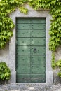 Old Green Garden Door Royalty Free Stock Photo