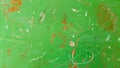 Old green grungy wall background or texture Royalty Free Stock Photo