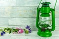 Old green lantern with colorful flowers Royalty Free Stock Photo