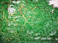 Old green paint is much cracked. Background texture closeup Royalty Free Stock Photo