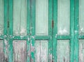 Old green painted panels wood door background. Royalty Free Stock Photo