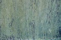 Old green painted wood door close up detail Royalty Free Stock Photo