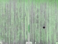 Old green painted wood wall - texture or background Royalty Free Stock Photo