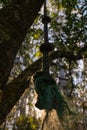 Old green rope hanging from a tree in a forest Royalty Free Stock Photo