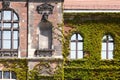 Old Green skyscraper building with plants growing on the facade Royalty Free Stock Photo