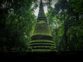 Old green stupa in nature