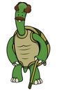 Old Green Turtle Color Illustration Royalty Free Stock Photo