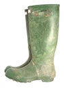 Old green wellington boots Royalty Free Stock Photo