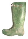 Old green wellington boots Royalty Free Stock Photo