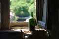 Old green wine bottle in window Royalty Free Stock Photo