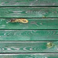 The old green wood texture with natural patterns Royalty Free Stock Photo