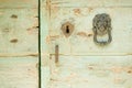 Old green wooden door, with lion head knocker Royalty Free Stock Photo