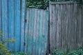 Old green wooden door on a rural blue gray fence Royalty Free Stock Photo