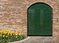 Old Green Wooden Door with Yellow Tulips Royalty Free Stock Photo