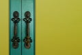 Old green wooden entrance door with antique door handle Royalty Free Stock Photo