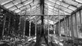 The old greenhouse Royalty Free Stock Photo