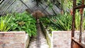 Old greenhouse in botanical garden in Malaga