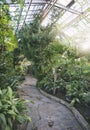 Old greenhouse of the Moscow Botanical Garden Royalty Free Stock Photo