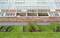 Old Greenhouse Royalty Free Stock Photo