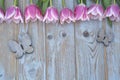 Old grey blue wooden background with pink white tulips border in a row and empty copy space with wooden spring summer butterflies Royalty Free Stock Photo