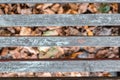 Old grey boards and autumn yellow leaves background. Abstract horizontal wood texture pattern and seasonal concept Royalty Free Stock Photo