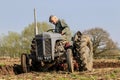 Old grey massey fergusen tractor at ploughing match