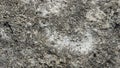 Old grey rough stone wall closeup texture background, selective focus, shallow DOF Royalty Free Stock Photo