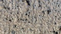 Old grey rough stone wall closeup texture background, selective focus, shallow DOF Royalty Free Stock Photo