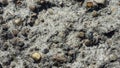 Old grey rough stone wall closeup texture background, selective focus, shallow DOF Royalty Free Stock Photo