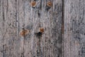 Old grey rustic faded wooden fence background