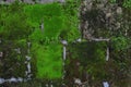 Old stone wall with moss and lichen Royalty Free Stock Photo