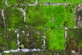 Old stone wall with moss and lichen Royalty Free Stock Photo