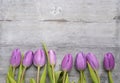 Old grey wooden background with purple white tulips,snowdrop and crocus border in a row and empty copy space, spring summer decora Royalty Free Stock Photo