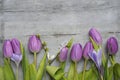 Old grey wooden background with purple white tulips,snowdrop and crocus border in a row and empty copy space, spring summer decora Royalty Free Stock Photo